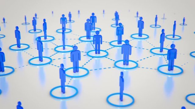 Social Network Growing Connections