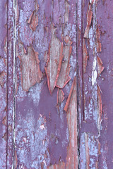 Remains of paint on old wood, violet,lilac,