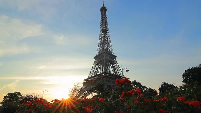 famous landmark eiffel tower seen through flowers paris france tilt rack focus low angle backlight sunrise sunrays
