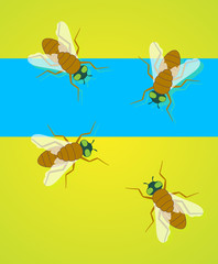 Flies Vector