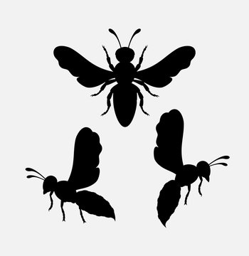 Wasps Silhouettes
