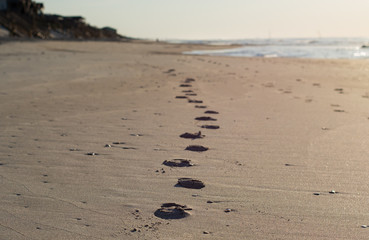 A trail of footprints on a North Carolina beach fade into view with houses and the ocean shore in the distance. 