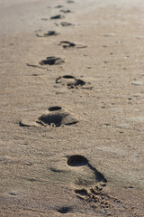 Fototapeta na wymiar Footprints on the beach. 