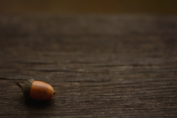 ドングリ　木目背景
