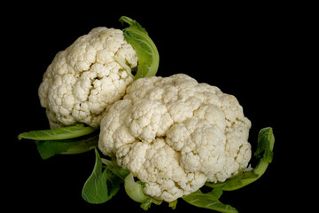 Cauliflower  isolated on black