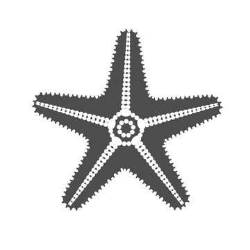 Starfish Shape Vector