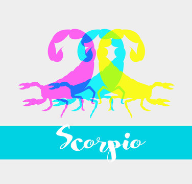 Colorful Scorpions Shapes