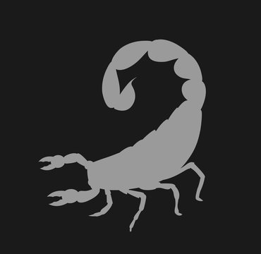 Scorpion Silhouette