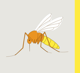 Mosquito Vector