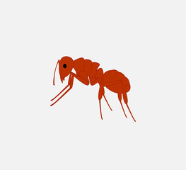 Red Ant Vector