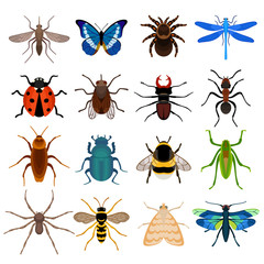 Insects icon set