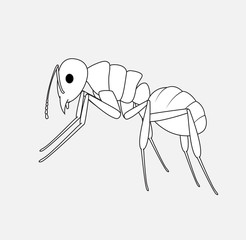 Ant Sketching