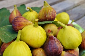 Very ripe green and purple figs in summer