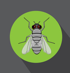 Retro Fly Insect