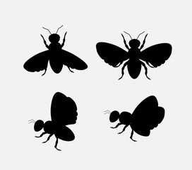 Silhouettes of Bees and Flies