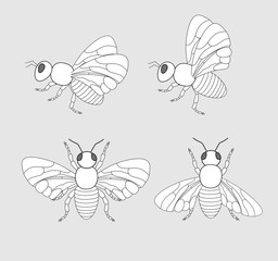 Bees and Flies Drawings