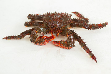 Freshly-Speared kamchatka king crab on the deck of yacht.