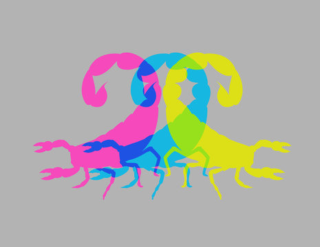 Colorful Scorpion Shapes
