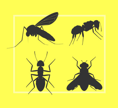 Mosquito, Fly and Ant Silhouettes