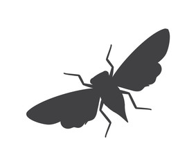Cicada Moth Insect Silhouette