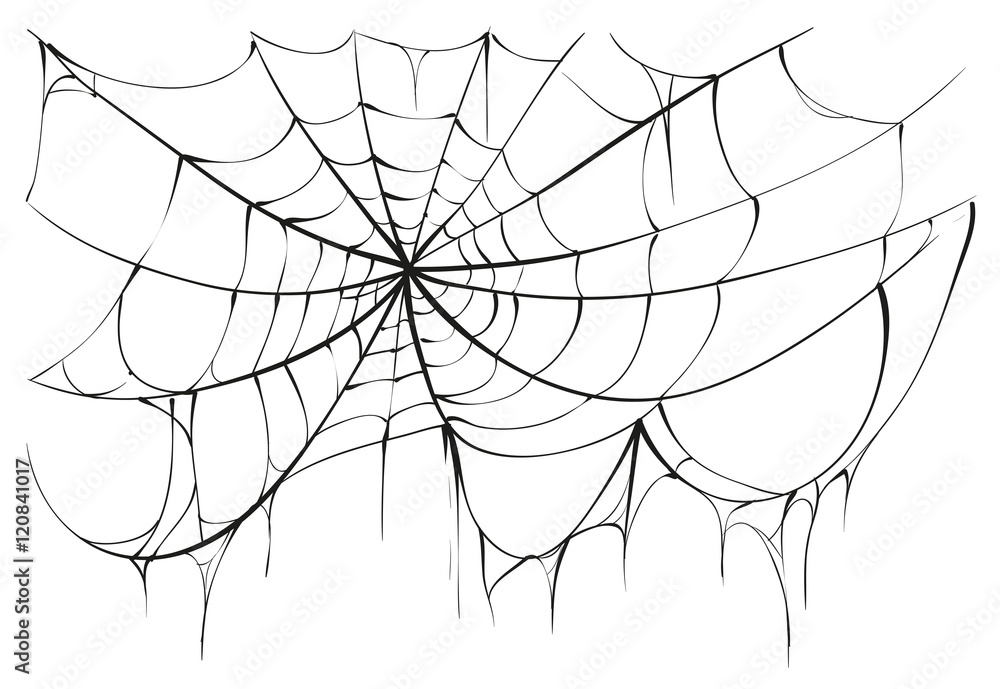 Wall mural torn spider web on white background