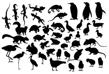 Little and Cute Animal Silhouettes, art vector design
