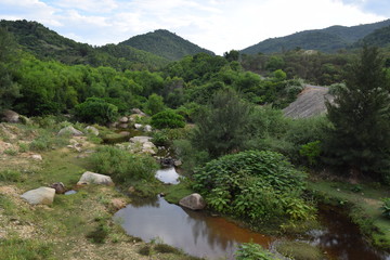 Fototapeta na wymiar nature dry stream and mountain forest