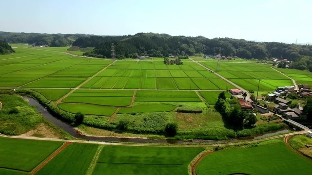 広大な水田をドローンで撮影
