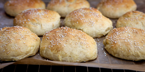 Panorama, viele goldbraune Brötchen mit Sesam, Herstellung von