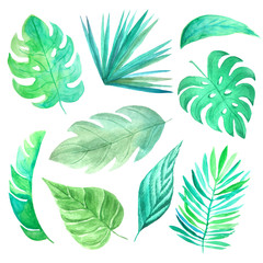 Fototapeta na wymiar Watercolor green tropical leaves set