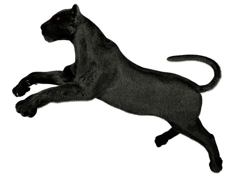 The image of a black panther  3D illustration