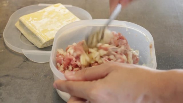 Preparation stuffed of dumplings by pork and onion mixing, stock video