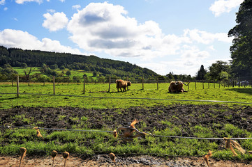 Obraz premium landscapes and villages of the highlands, Scotland