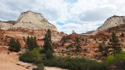 Fototapeta premium Zion National Park, Utah (USA)