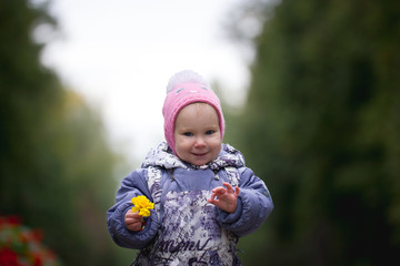 Portrait of child - little girl with fallen leaf walking in autumn park: baby standing in the alley, keep leaves in hands
