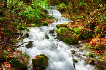 Scenic view of mountain river among mossy stones and fall woods