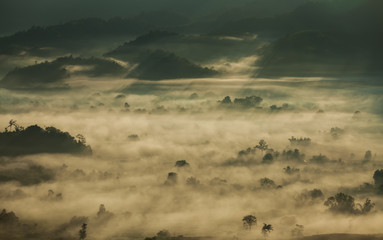 Mountain and mist sunrise in the morning