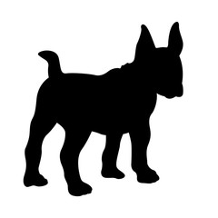 bull terrier dog vector illustration black silhouette