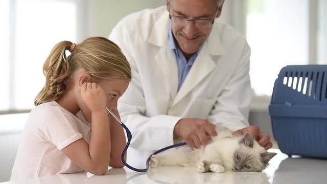 Little girl at the vet with her cat, listening to its heartbeat