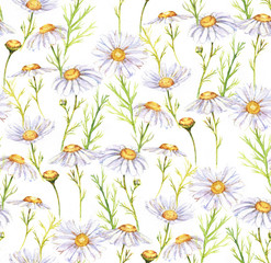 Hand-drawn seamless watercolor pattern with meadow chamomiles flowers. Tender floral repeated print for wallpapers, textile etc. Summer field blossom, wild daisies.