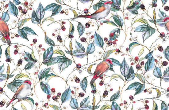 Hand-drawn watercolor seamless pattern with natural motives: blackberry branches, leaves, berries and wild birds - finches. Repeated background, print for the textile and wallpapers
