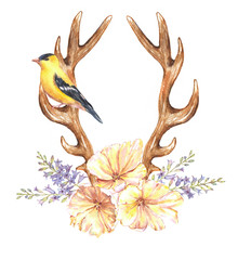 Beautiful illustration with the watercolor tulip flowers, hyacinth, bird and antlers. Floral composition in boho style with stylized antlers drawing and yellow tulips bouquet