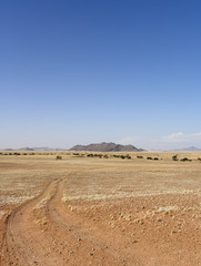 Namib Desert