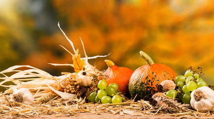 Autumn still life with pumpkins and autumn flower on nature background