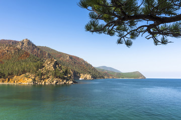 Пейзаж с веткой сосны © andrey_iv