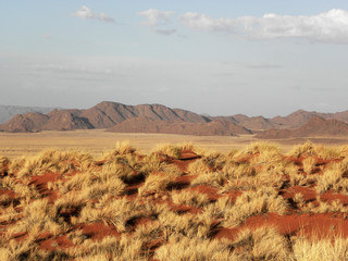 Namib Desert