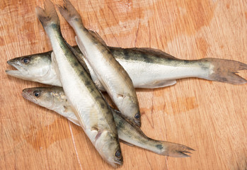 chub fish on a wooden background