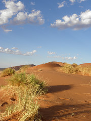 Namib Desert