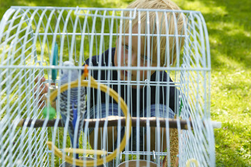 The boy looks at the cage with parrot outside in the garden

