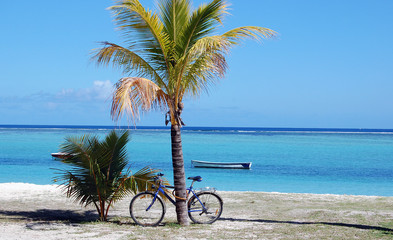 Bicycle next to palm tree on exotic beach in Mauritius
